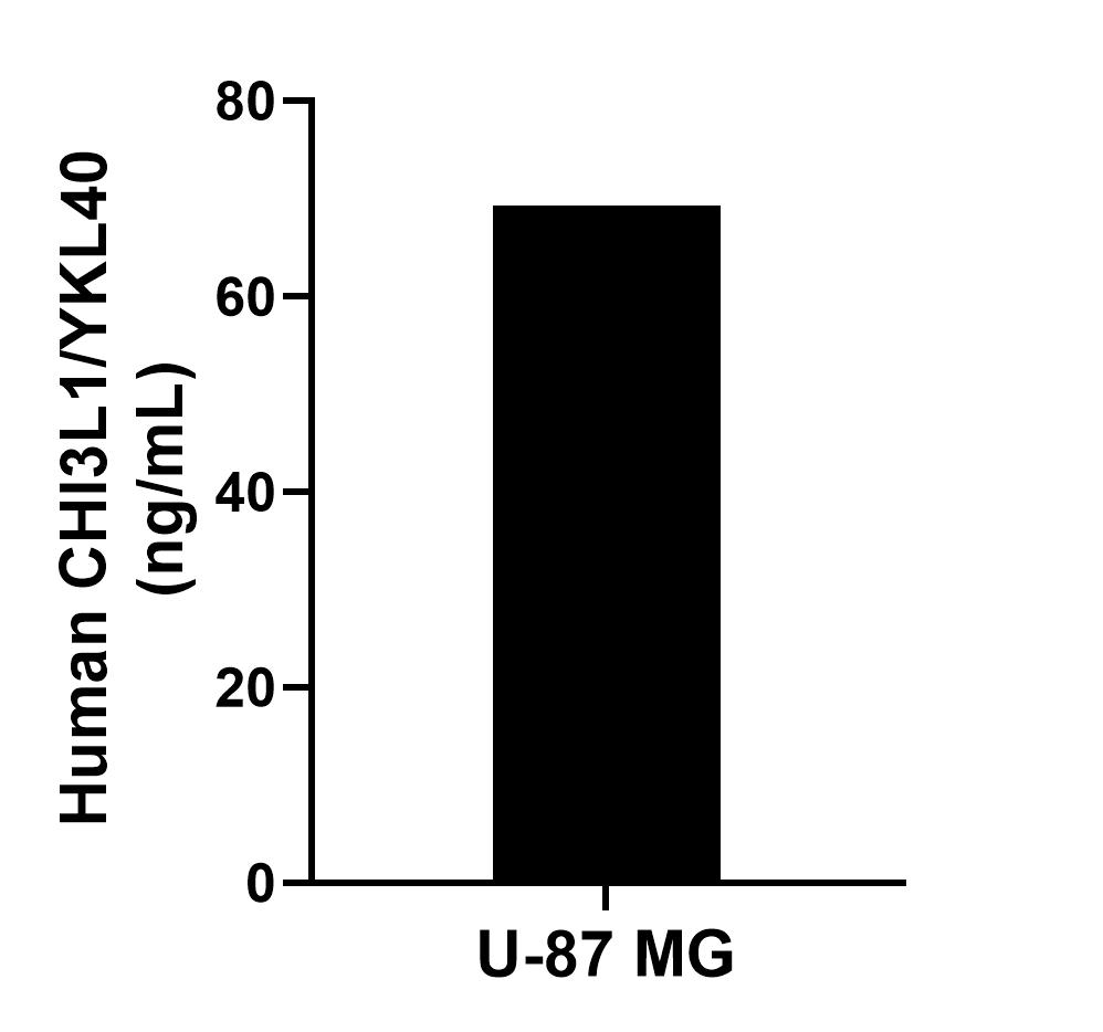 U-87 MG were cultured in DMEM supplemented with 10% fetal bovine serum, 2.5 mM L-glutamine, 100 U/mL penicillin, and 100 μg/mL streptomycin sulfate. An aliquot of the cell culture supernate was removed, assayed for human CHI3L1/YKL40, and measured 69.3 ng/mL.