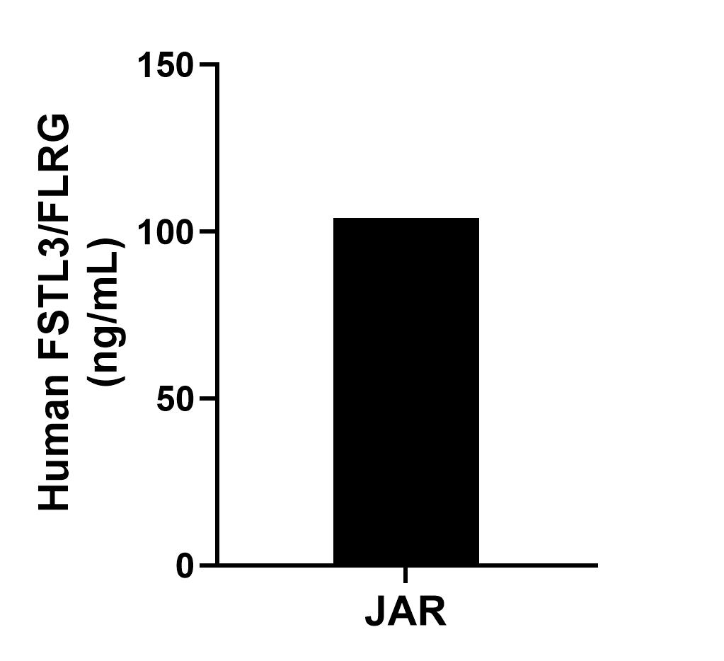 JAR cells were cultured in DMEM supplemented with 10% fetal bovine serum, 2.5 mM L-glutamine, 100 U/mL penicillin, and 100 ug/mL streptomycin sulfate. An aliquot of the cell culture supernate was removed, assayed for human FSTL3/FLRG, and measured 104.0 ng/mL. JAR cells were cultured in DMEM supplemented with 10% fetal bovine serum, 2.5 mM L-glutamine, 100 U/mL penicillin, and 100 ug/mL streptomycin sulfate. An aliquot of the cell culture supernate was removed, assayed for human FSTL3/FLRG, and measured 104.0 ng/mL.