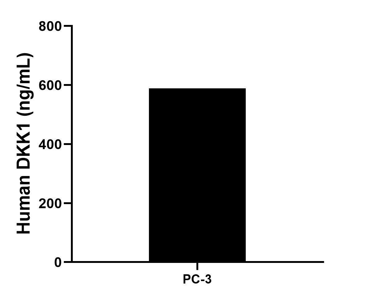 PC-3 human prostate cancer cells were cultured in RPMI supplemented with 10% fetal bovine serum, 2 mM L-glutamine, 100 U/mL penicillin, and 100 μg/mL streptomycin sulfate for 72 hours. Aliquots of the cell culture supernates were removed, assayed for levels of human DKK1 and measured 588.98 ng/mL.