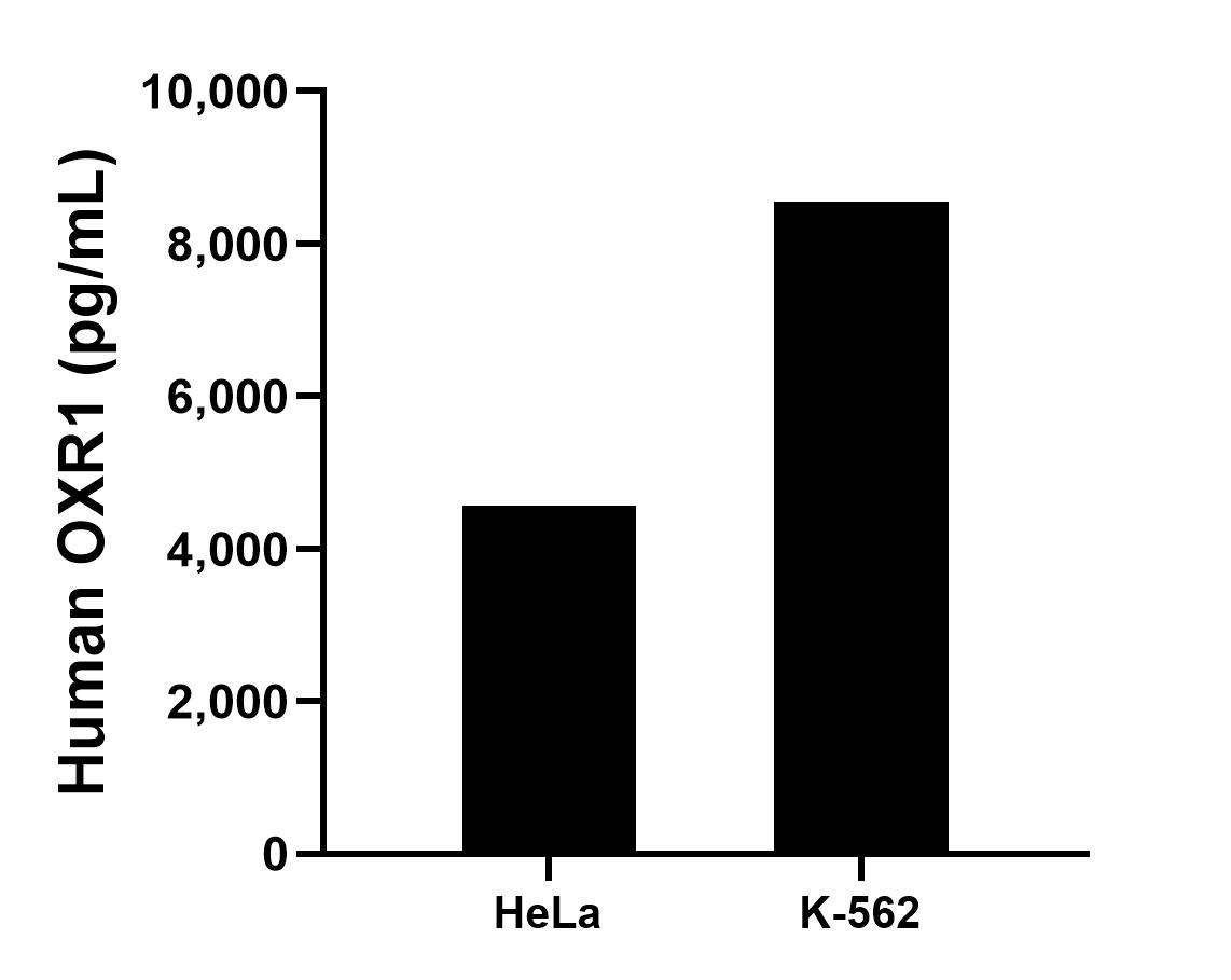 Sandwich ELISA sample test of MP02376-2 Sandwich ELISA sample test of MP02376-2
