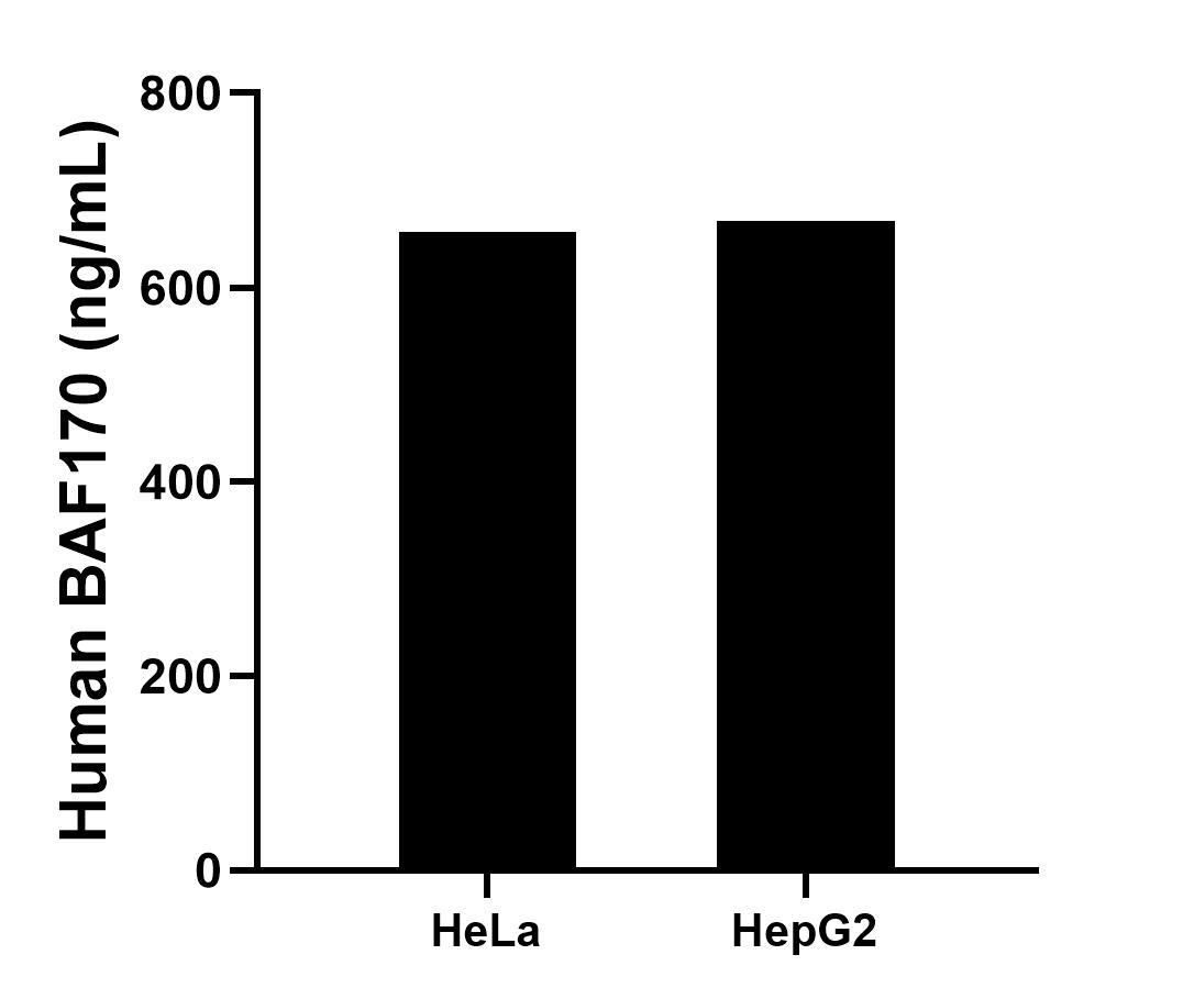 Sandwich ELISA sample test of MP02458-2