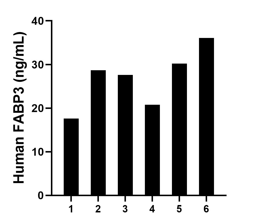 Sandwich ELISA sample test of MP02478-2