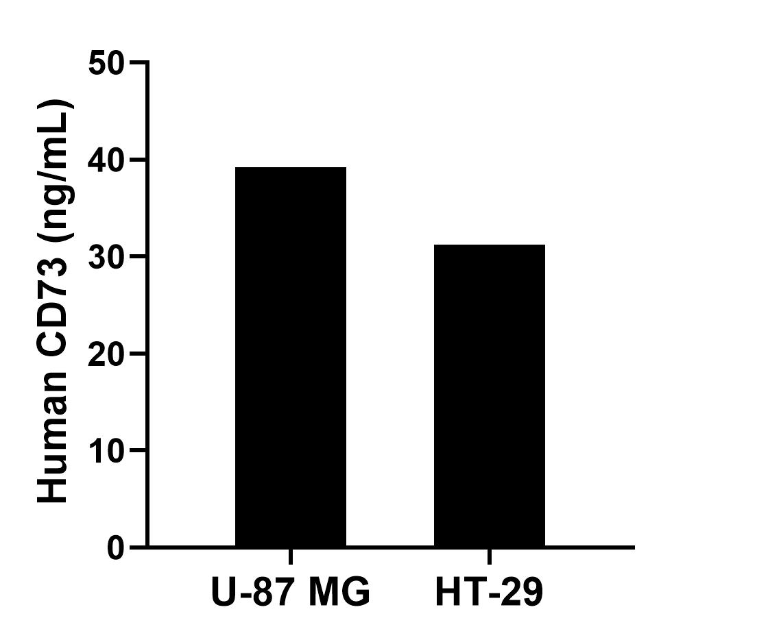 Sandwich ELISA sample test of MP02481-2