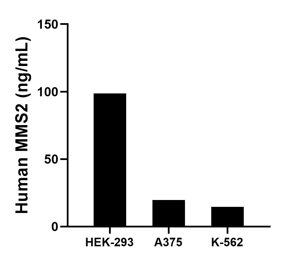 Sandwich ELISA sample test of MP02524-1