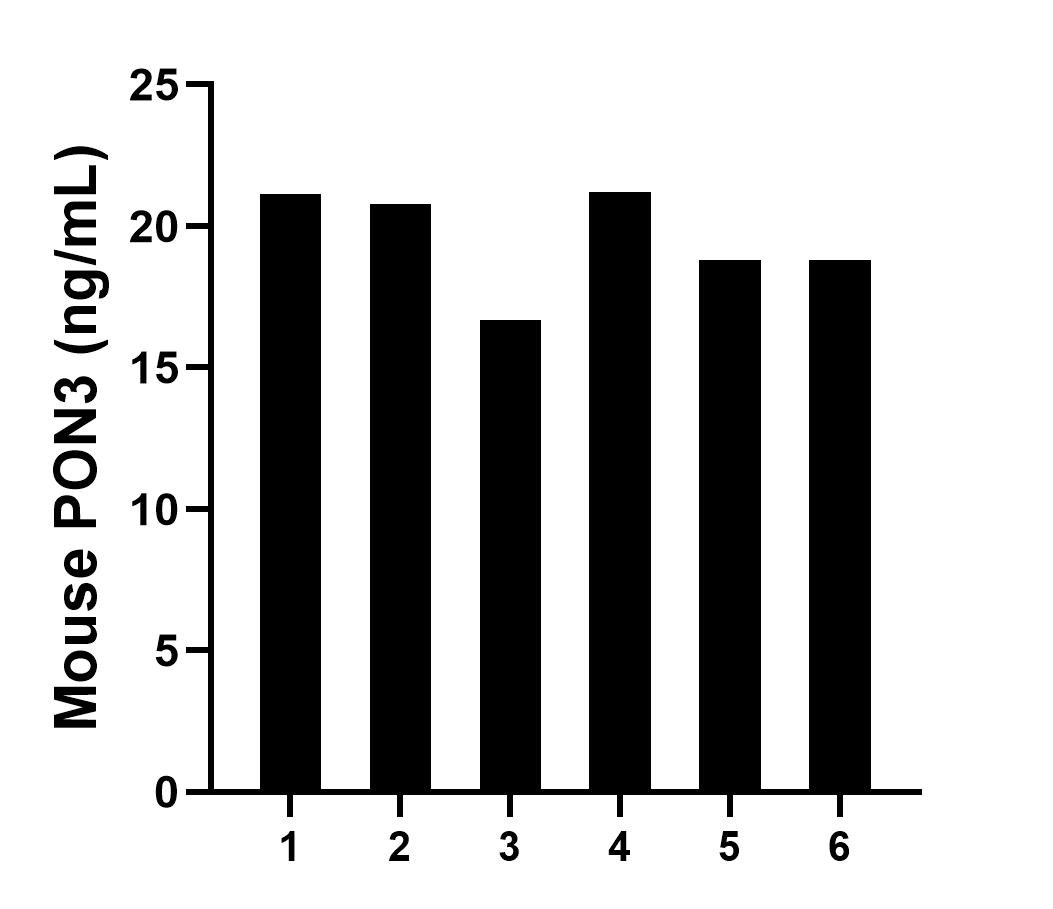 Sandwich ELISA sample test of MP02543-1