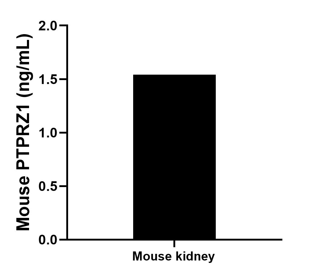 The mean PTPRZ1 concentration was determined to be 1.5 ng/mL in mouse kidney tissue extract based on a 7.8 mg/mL extract load.