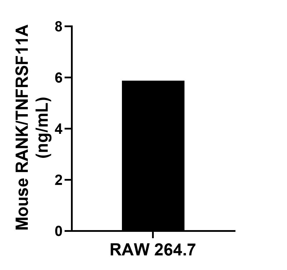 The mean RANK/TNFRSF11A concentration was determined to be 5.88 ng/mL in RAW 264.7 cell extract based on a 1.30 mg/mL extract load.