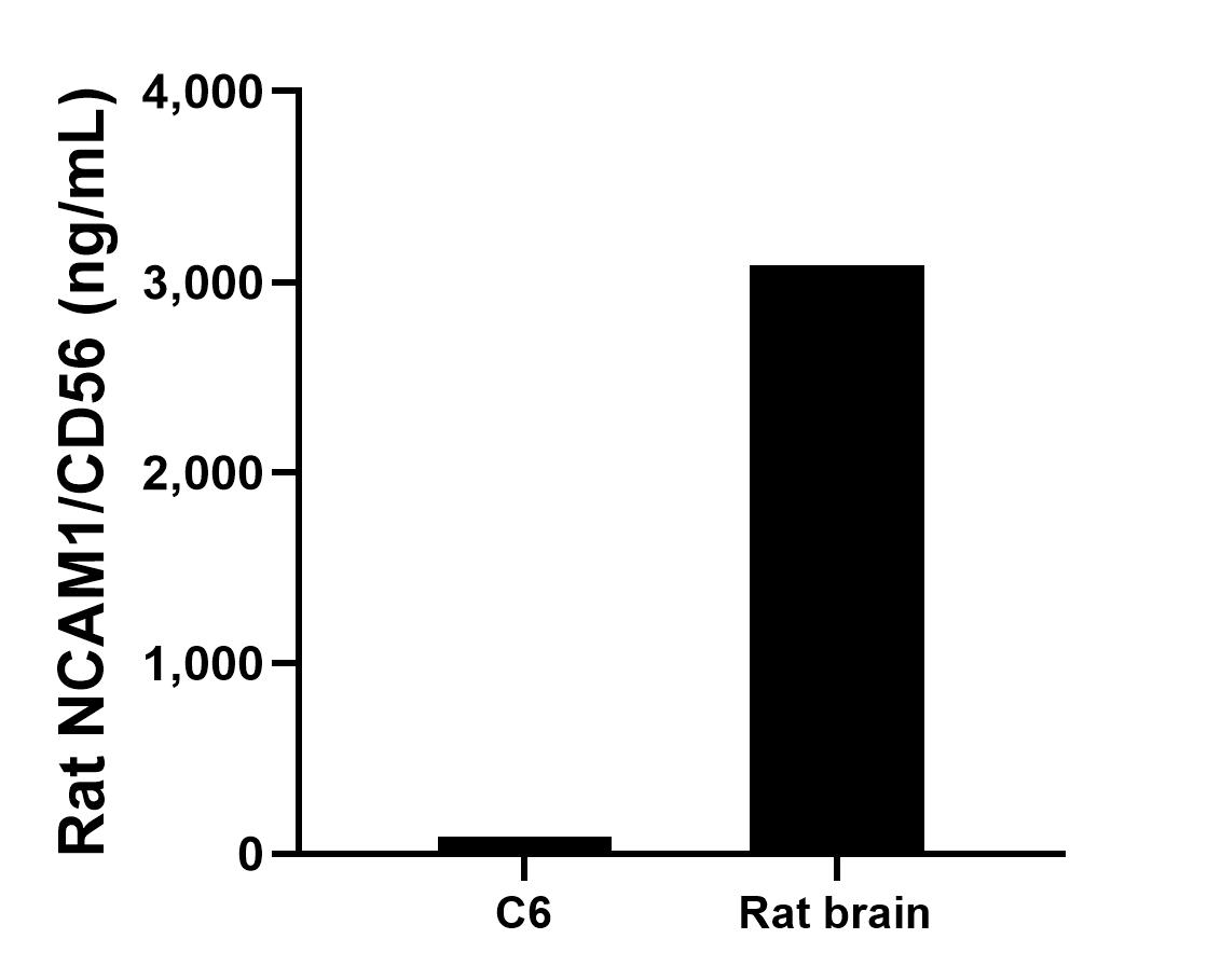 The mean NCAM1/CD56 concentration was determined to be 89.12 ng/mL in C6 cell extract based on a 1.20 mg/mL extract load and 3,090.35 ng/mL in rat brain tissue extract based on a 8.2 mg/mL extract load. Sandwich ELISA sample test of MP02663-2