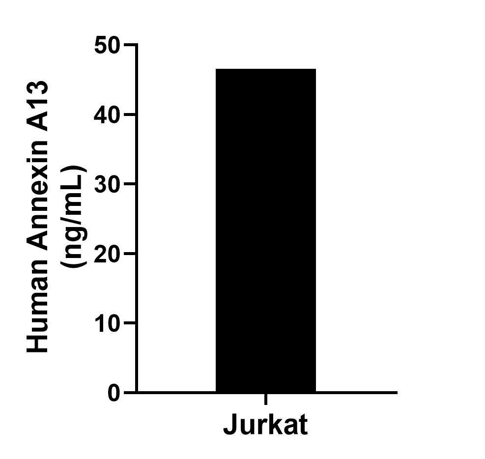 Sandwich ELISA sample test of MP02684-1