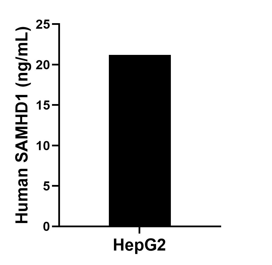 The mean SAMHD1 concentration was determined to be 21.20 ng/mL in HepG2 cell extract based on a 1.20 mg/mL extract load.