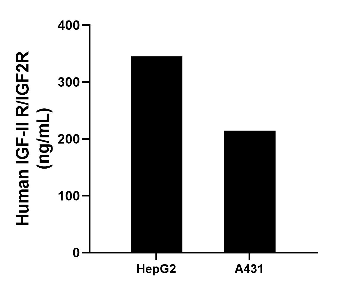Sandwich ELISA sample test of MP02694-2