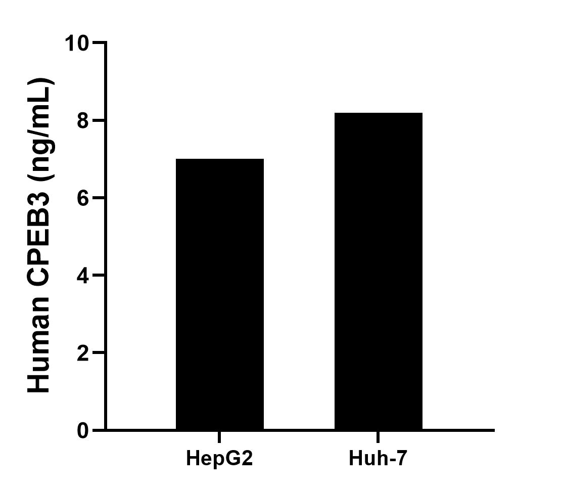 The mean CPEB3 concentration was determined to be 7.00 ng/mL in HepG2 cell extract based on a 1.3 mg/mL extract load and 8.20 ng/mL in HuH-7 cell extract based on a 2.1 mg/mL extract load. Sandwich ELISA sample test of MP02708-1