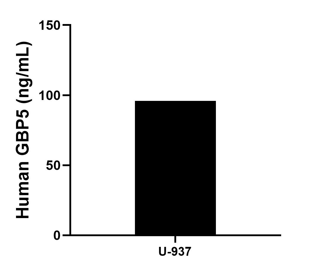Sandwich ELISA sample test of MP02716-1 Sandwich ELISA sample test of MP02716-1