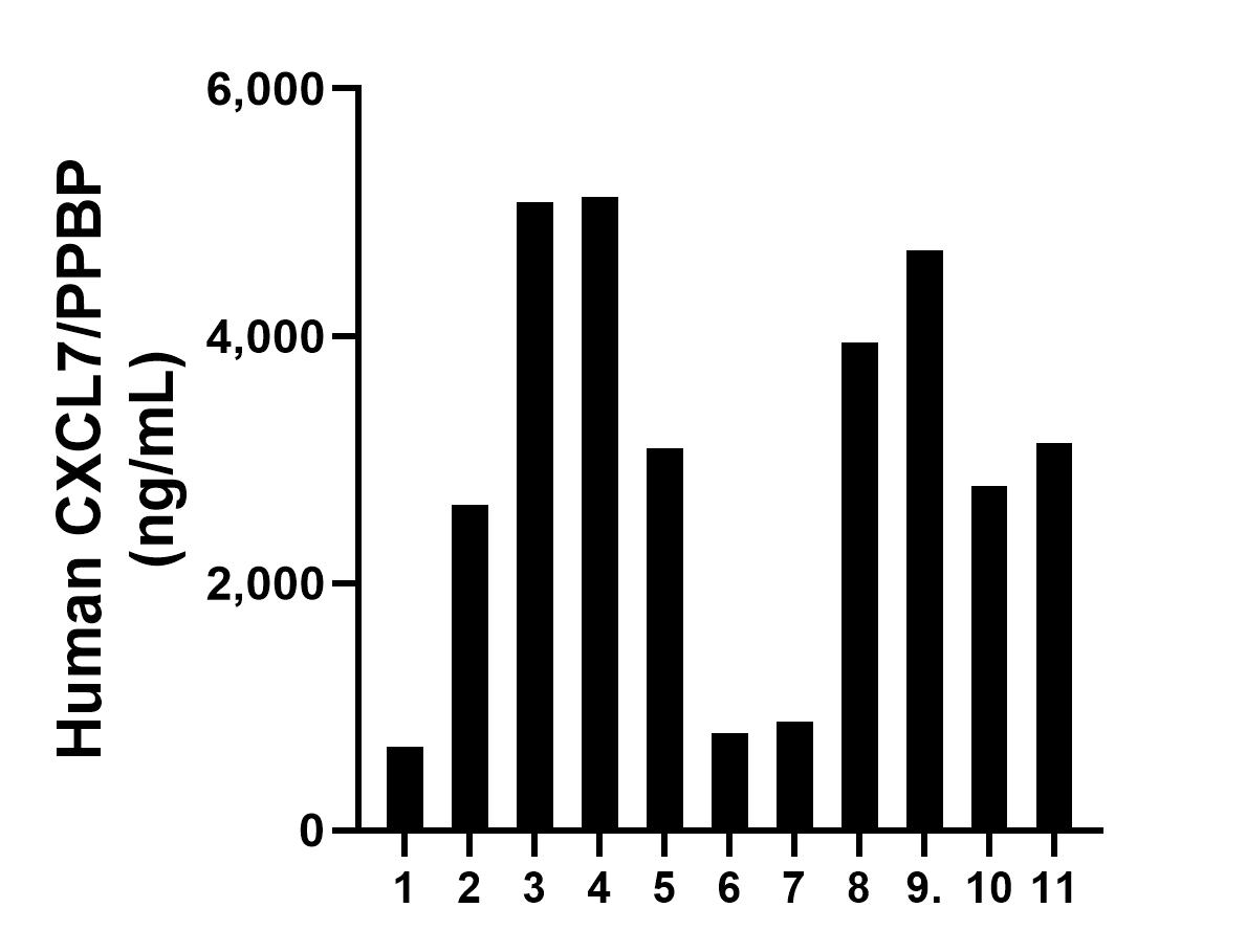 Plasma of eleven individual healthy human donors was measured. The human CXCL7/PPBP concentration of detected samples was determined to be 3,322.29 ng/mL with a range of 678.34 - 5,123.18 ng/mL.