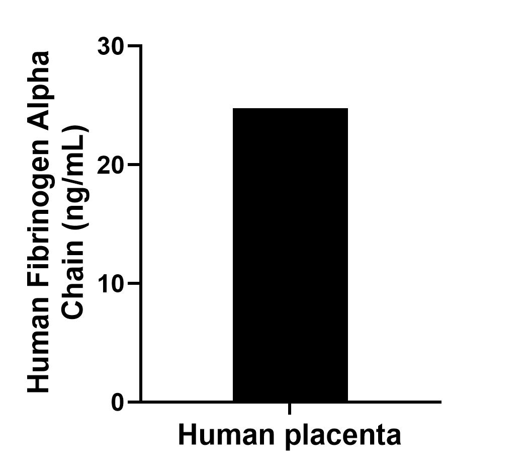 The mean Fibrinogen Alpha Chain concentration was determined to be 24.76 ng/mL in human placenta extract based on a 3.80 mg/mL extract load.
