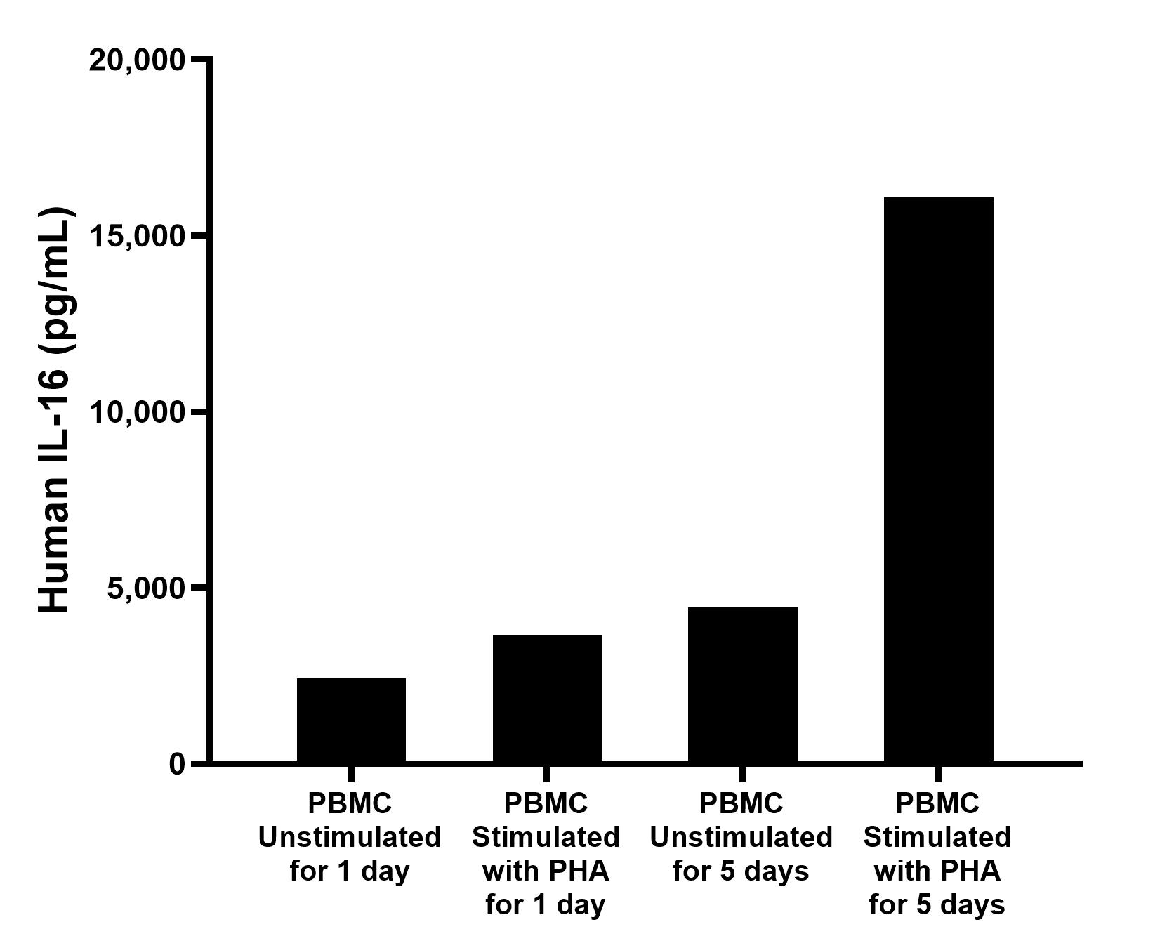 Human peripheral blood mononuclear cells (PBMC) were cultured unstimulated or stimulated with 10 ug/mL PHA for 1 day or 5 days. For the PBMC supernatant cultured for 1 day, the mean IL-16 concentration was determined to be 2,424.2 pg/mL in unstimulated PBMC supernatant, 3,654.0 pg/mL in PHA stimulated PBMC supernatant. For the PBMC supernatant cultured for 5 days, the mean IL-16 concentration was determined to be 4,432.6 pg/mL in unstimulated PBMC supernatant, 16,089.0 pg/mL in PHA stimulated PBMC supernatant. Human peripheral blood mononuclear cells (PBMC) were cultured unstimulated or stimulated with 10 ug/mL PHA for 1 day or 5 days. For the PBMC supernatant cultured for 1 day, the mean IL-16 concentration was determined to be 2,424.2 pg/mL in unstimulated PBMC supernatant, 3,654.0 pg/mL in PHA stimulated PBMC supernatant. For the PBMC supernatant cultured for 5 days, the mean IL-16 concentration was determined to be 4,432.6 pg/mL in unstimulated PBMC supernatant, 16,089.0 pg/mL in PHA stimulated PBMC supernatant.