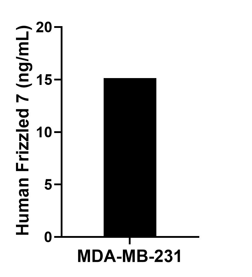 Sandwich ELISA sample test of MP02779-1 Sandwich ELISA sample test of MP02779-1