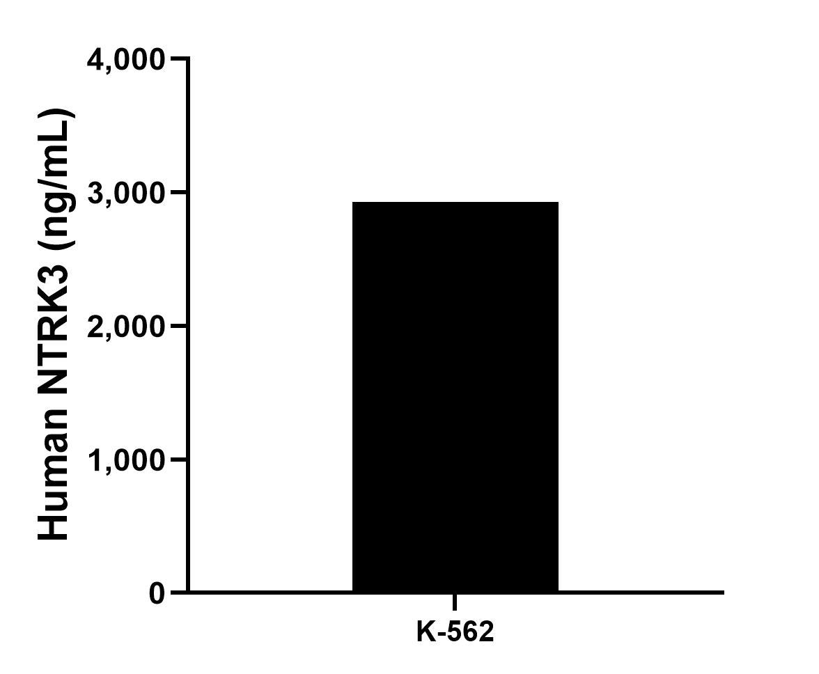 The mean TrkC concentration was determined to be 2,929.21 ng/mL in K-562 cell extract based on a 1.2 mg/mL extract load. The mean TrkC concentration was determined to be 2,929.21 ng/mL in K-562 cell extract based on a 1.2 mg/mL extract load.
