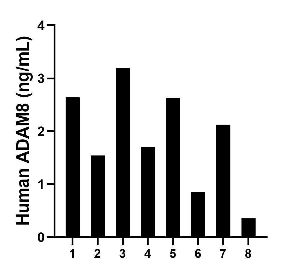 Serum of eight individual healthy human donors was measured. The human ADAM8 concentration of detected samples was determined to be1.88 ng/mL with a range of 0.36 - 3.20 ng/mL. Serum of eight individual healthy human donors was measured. The human ADAM8 concentration of detected samples was determined to be1.88 ng/mL with a range of 0.36 - 3.20 ng/mL.