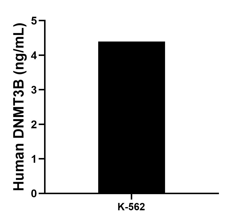 The mean DNMT3B concentration was determined to be 4.4 ng/mL in K-562 cell extract based on a 1.2 mg/mL extract load. The mean DNMT3B concentration was determined to be 4.4 ng/mL in K-562 cell extract based on a 1.2 mg/mL extract load.