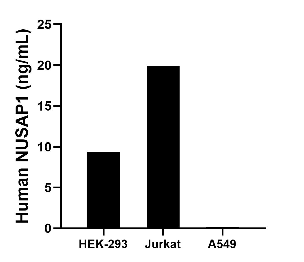The mean NUSAP1 concentration was determined to be 9.4 ng/mL in HEK-293 cell extract based on a 1.2 mg/mL extract load, 19.9 ng/mL in Jurkat cell extract based on a 1.2 mg/mL extract load and 0.2 ng/mL in A549 cell extract based on a 1.2 mg/mL extract load.