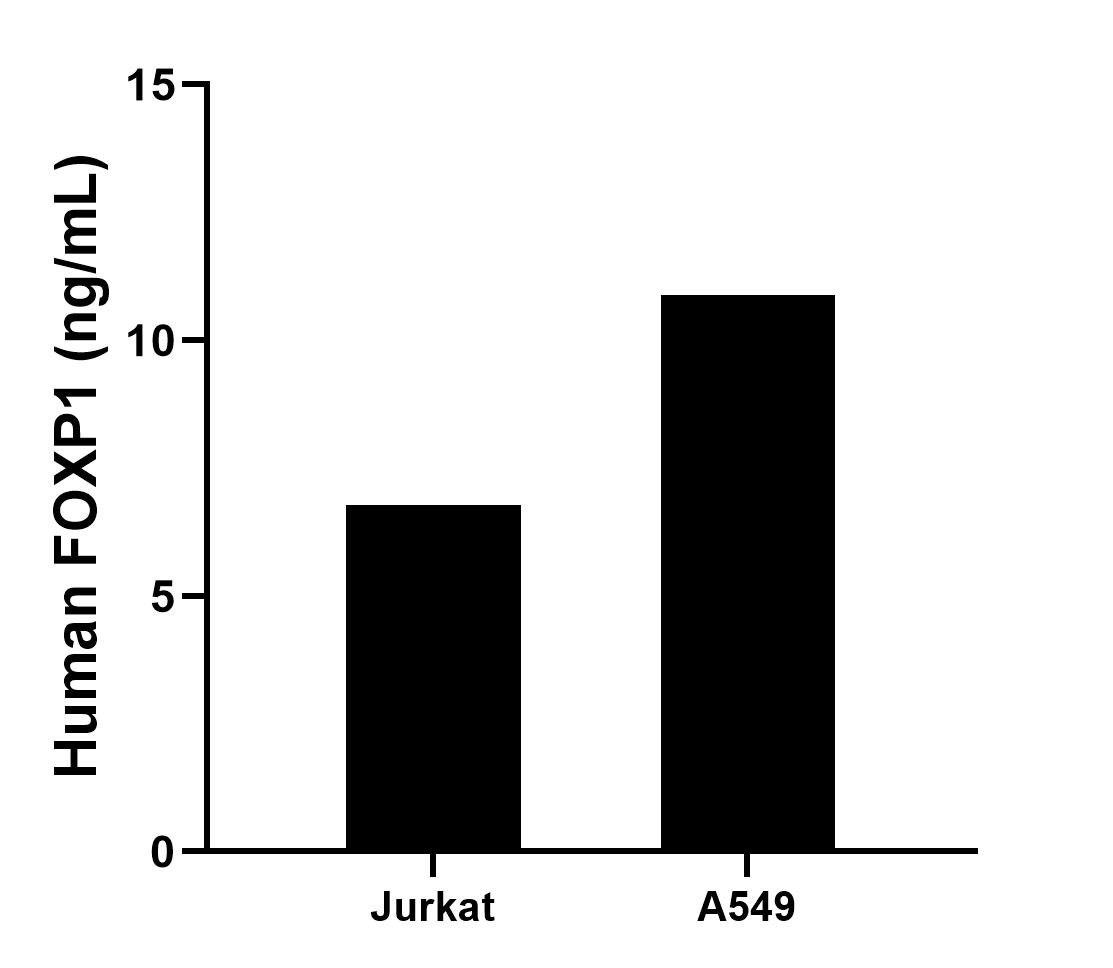 Sandwich ELISA sample test of MP02841-1