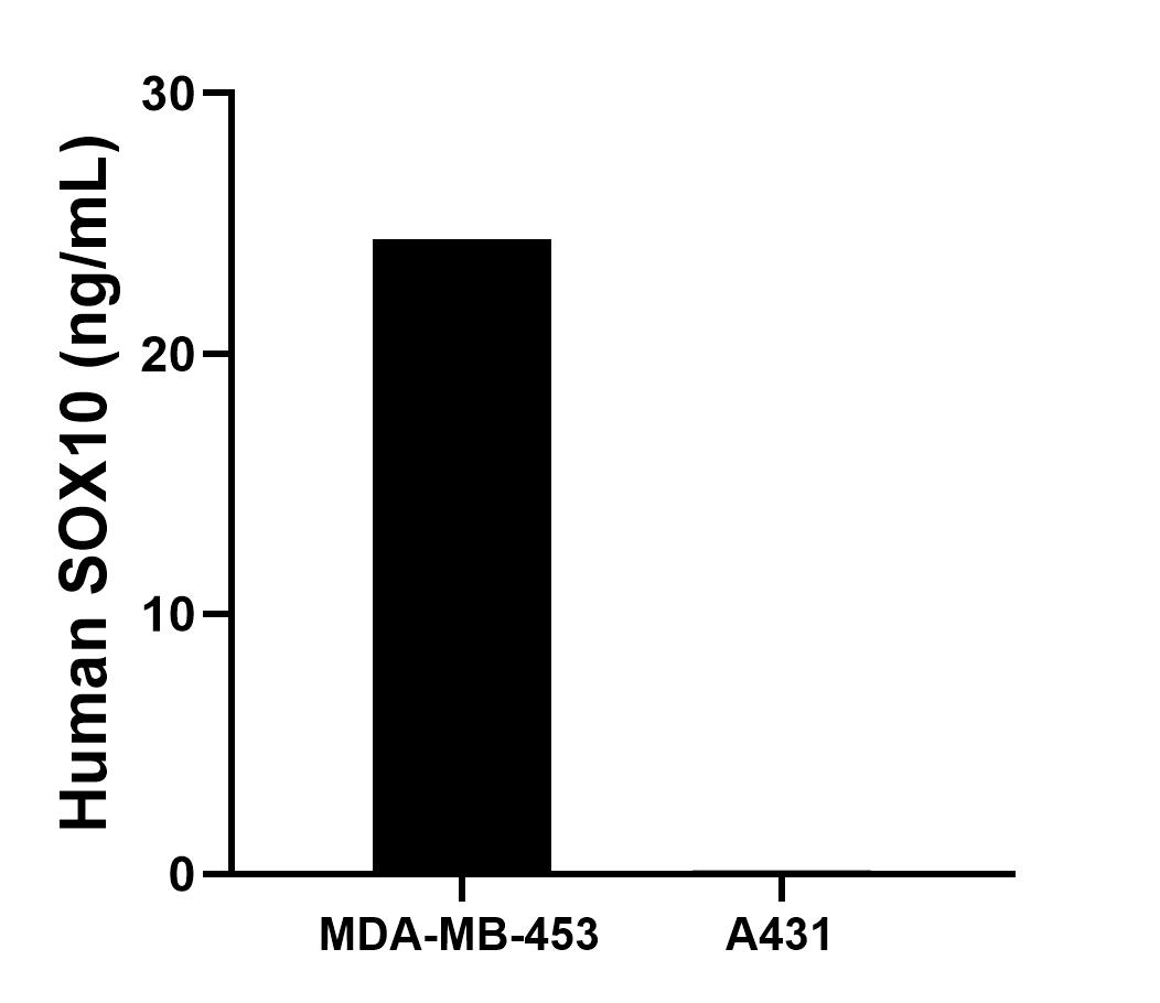 Sandwich ELISA sample test of MP02850-2