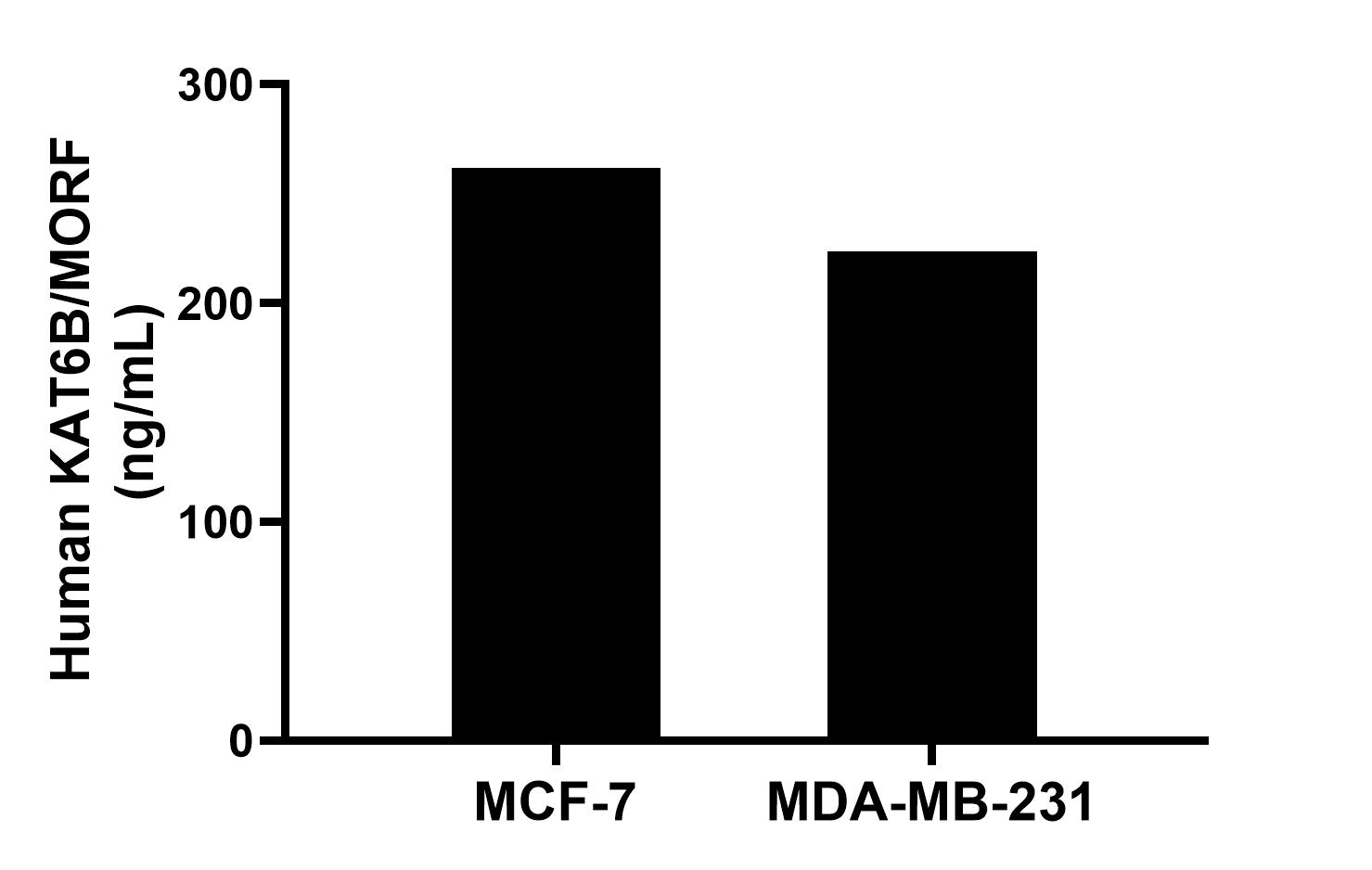 The mean KAT6B/MORF concentration was determined to be 261.93 ng/mL in MCF-7 cell extract based on a 1.20 mg/mL extract load and 224.0 ng/mL in MDA-MB-231 cell extract based on a 1.20 mg/mL extract load. The mean KAT6B/MORF concentration was determined to be 261.93 ng/mL in MCF-7 cell extract based on a 1.20 mg/mL extract load and 224.0 ng/mL in MDA-MB-231 cell extract based on a 1.20 mg/mL extract load.