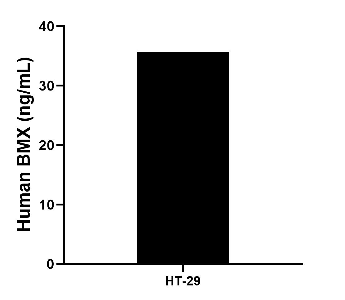 The mean BMX concentration was determined to be 35.71 ng/mL in HT-29 cell extract based on a 1.5 mg/mL extract load. Sandwich ELISA sample test of MP02871-1