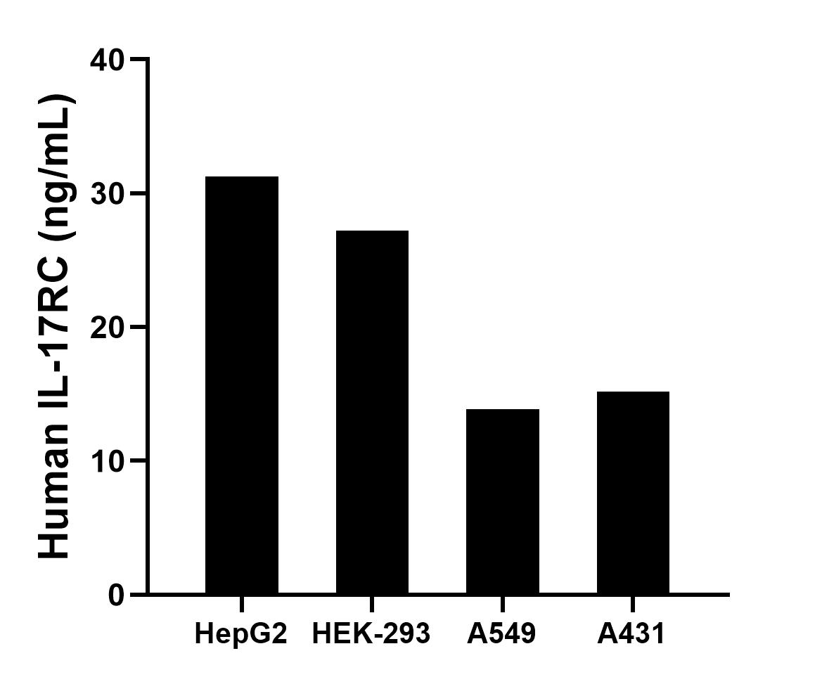 The mean IL-17RC concentration was determined to be 31.26 ng/mL in HepG2 cell extract based on a 1.20 mg/mL extract load, 27.24 ng/mL in HEK-293 cell extract based on a 1.20 mg/mL extract load, 13.84 ng/mL in A549 cell extract based on a 1.10 mg/mL extract load and 15.16 ng/mL in A431 cell extract based on a 1.20 mg/mL extract load. Sandwich ELISA sample test of MP02890-1