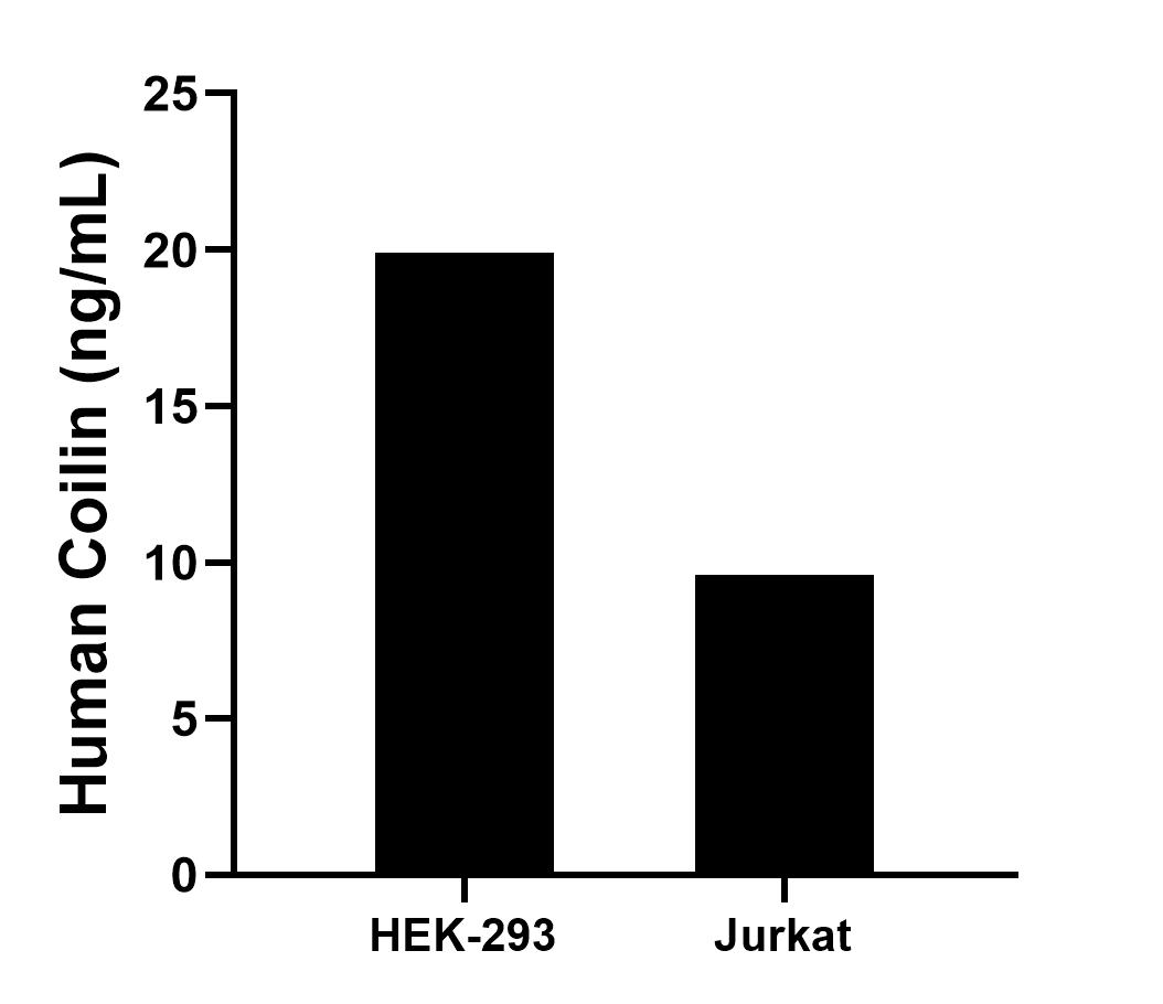 Sandwich ELISA sample test of MP02891-1