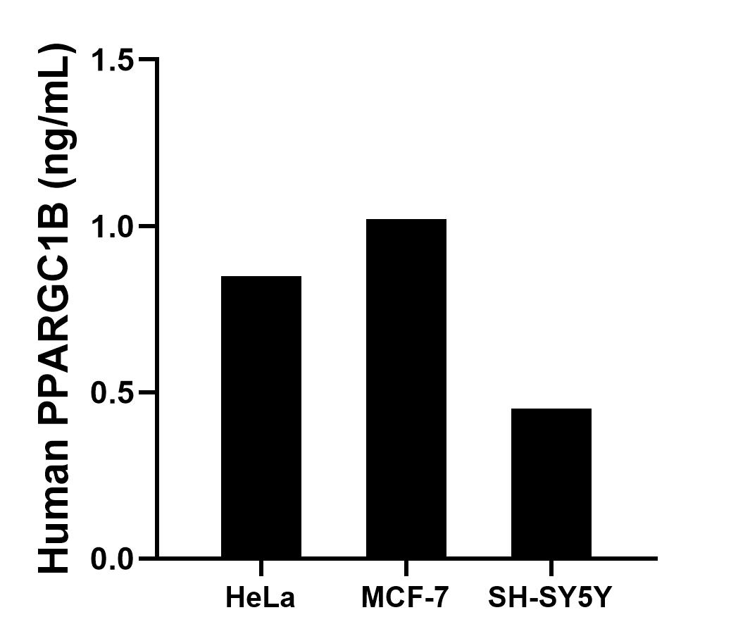 Sandwich ELISA sample test of MP02897-1