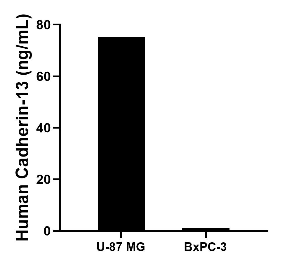 Sandwich ELISA sample test of MP02902-1