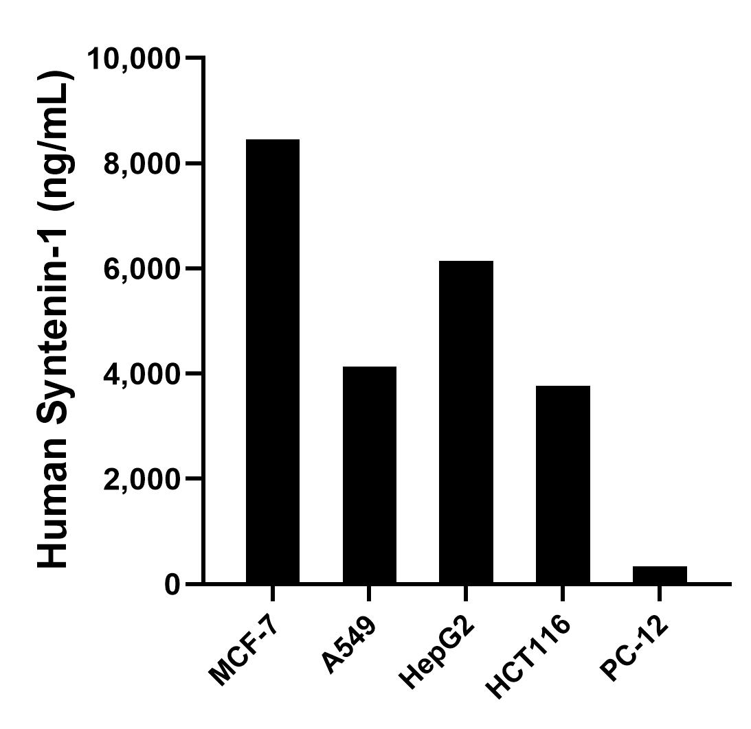 Sandwich ELISA sample test of MP02969-1