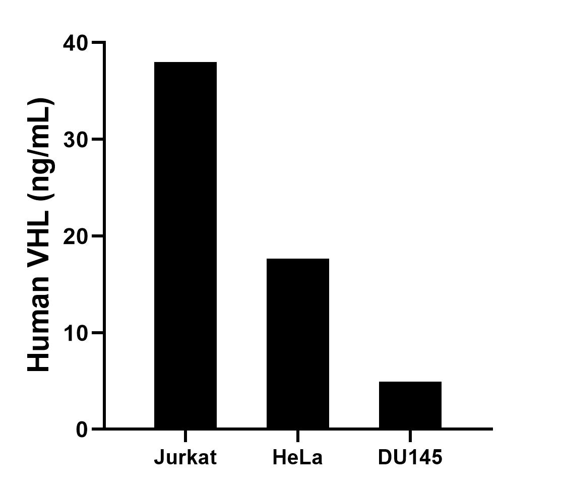 The mean VHL concentration was determined to be 37.97 ng/mL in Jurkat cell extract based on a 1.2 mg/mL extract load,17.69 ng/mL in HeLa cell extract based on a 1.2 mg/mL extract load and 4.97 ng/mL in DU145 cell extract based on a 1.2 mg/mL extract load.