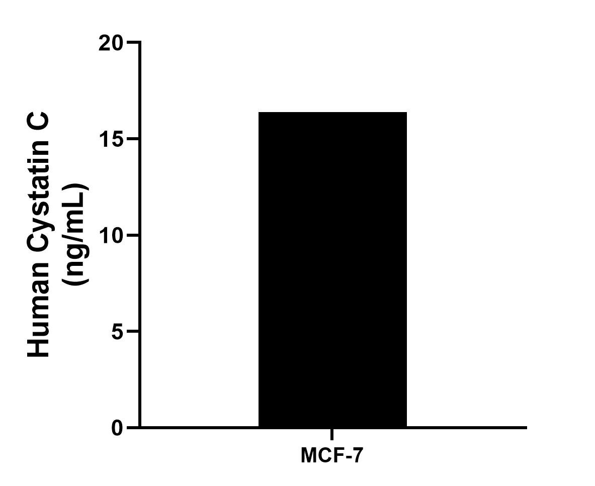 Sandwich ELISA sample test of MP02984-2