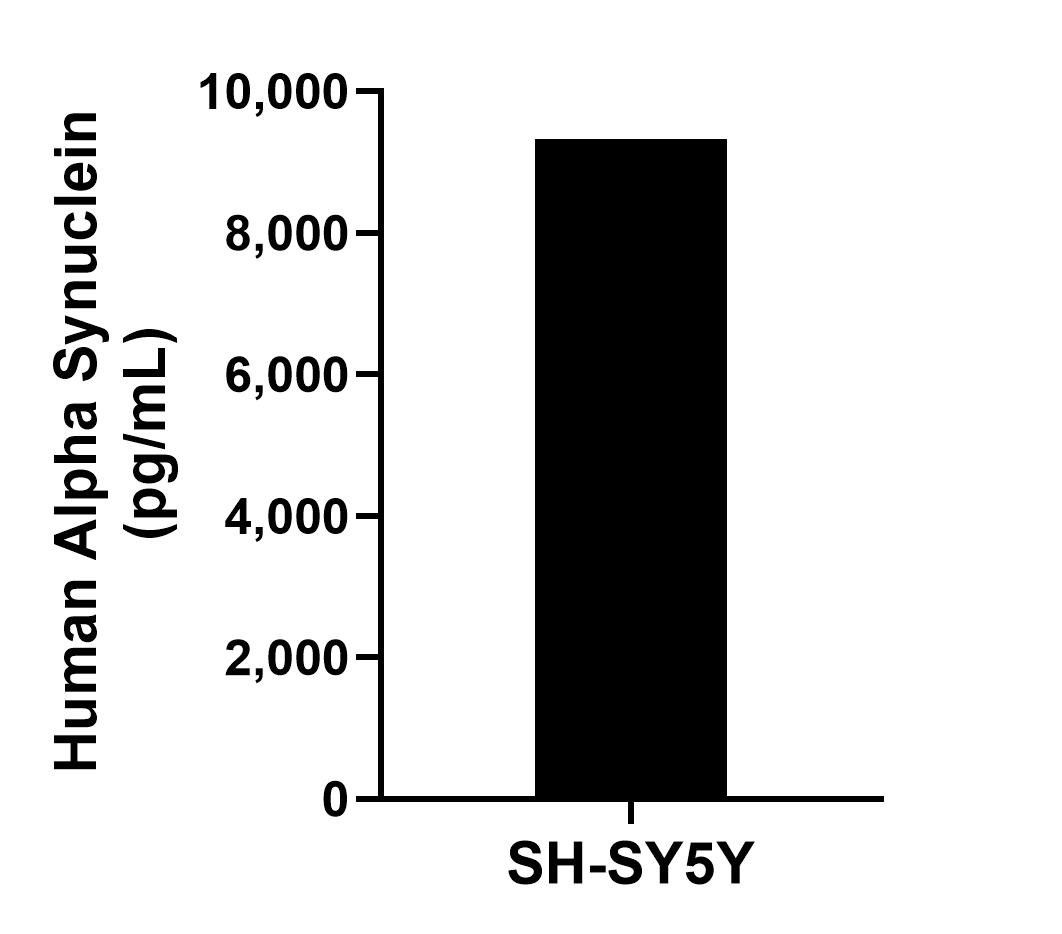 The mean Alpha Synuclein concentration was determined to be 9,321.89 ng/mL in SH-SY5Y cell extract based on a 1.20 mg/mL extract load. The mean Alpha Synuclein concentration was determined to be 9,321.89 ng/mL in SH-SY5Y cell extract based on a 1.20 mg/mL extract load.