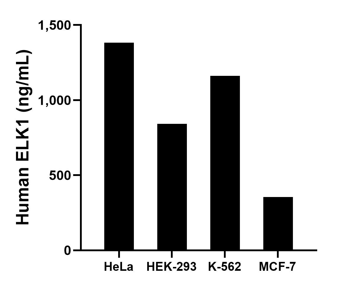 The mean ELK1 concentration was determined to be 1,382.52 ng/mL in HeLa cell extract based on a 1.20 mg/mL extract load, 841.80 ng/mL in HEK-293 cell extract based on a 1.20 mg/mL extract load, 1,161.24 ng/mL in K-562 cell extract based on a 1.20 mg/mL extract load and 354.56 ng/mL in MCF-7 cell extract based on a 1.20 mg/mL extract load. Sandwich ELISA sample test of MP02998-1
