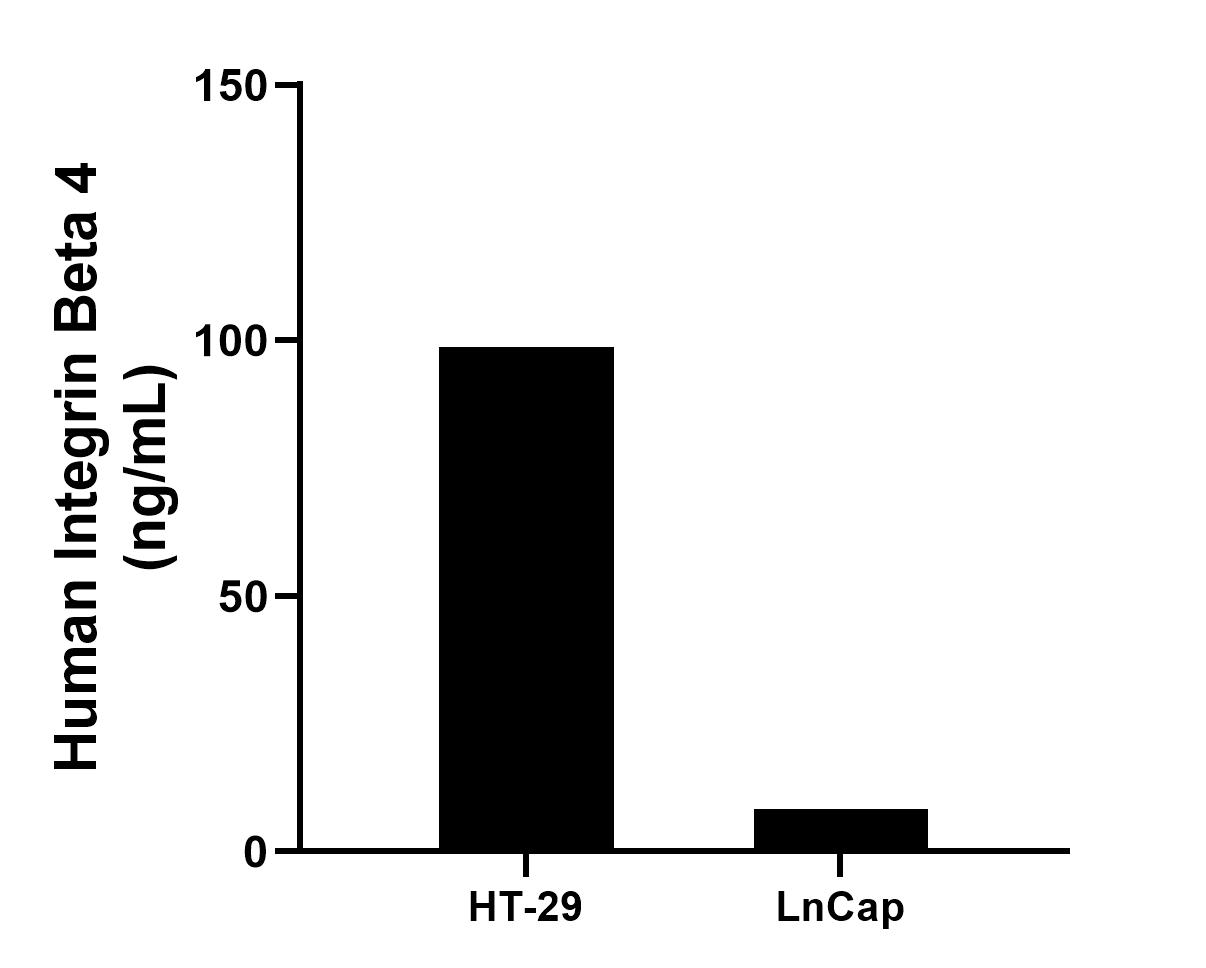 The mean Integrin Beta 4 concentration was determined to be 98.74 ng/mL in HT-29 cell extract based on a 1.1 mg/mL extract load and 8.34 ng/mL in LnCap cell extract based on a 1.2 mg/mL extract load.	