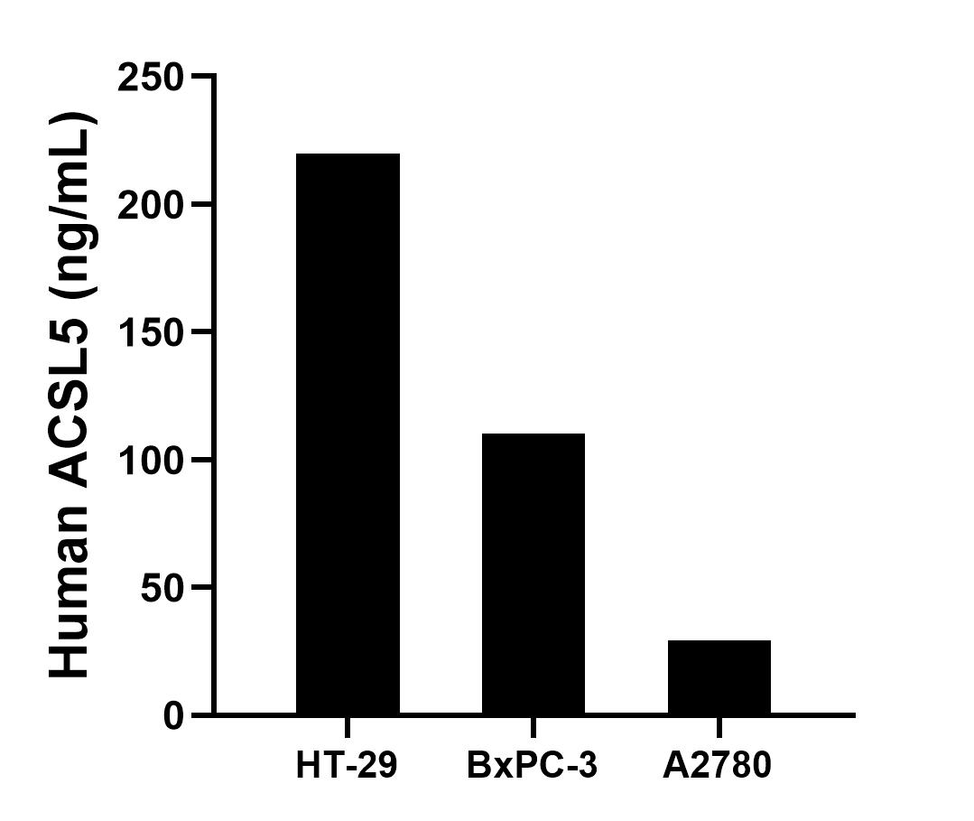 The mean ACSL5 concentration was determined to be 219.78 ng/mL in HT-29 cell extract based on a 1.10 mg/mL extract load, 110.43 ng/mL in BxPC-3 cell extract based on a 1.20 mg/mL extract load and 29.12 ng/mL in A2780 cell extract based on a 1.20 mg/mL extract load.