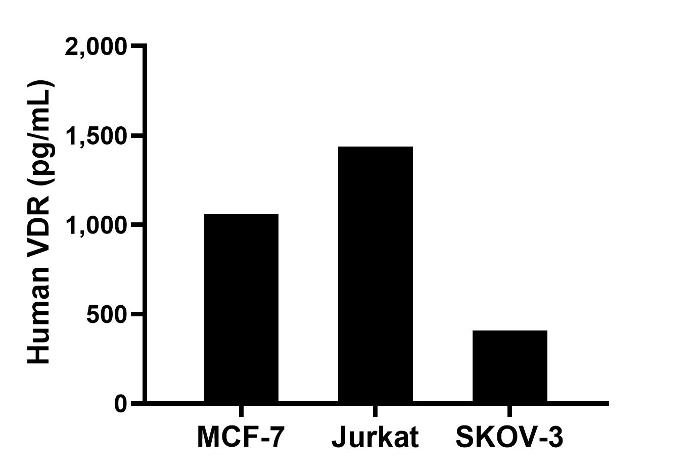 The mean VDR concentration was determined to be 1,062.7 pg/mL in MCF-7 cell extract based on a 1.2 mg/mL extract load, 1,437.4 pg/mL in Jurkat cell extract based on a 1.2 mg/mL extract load and 407.7 pg/mL in SKOV-3 cell extract based on a 1.1 mg/mL extract load. Sandwich ELISA sample test of MP03026-1