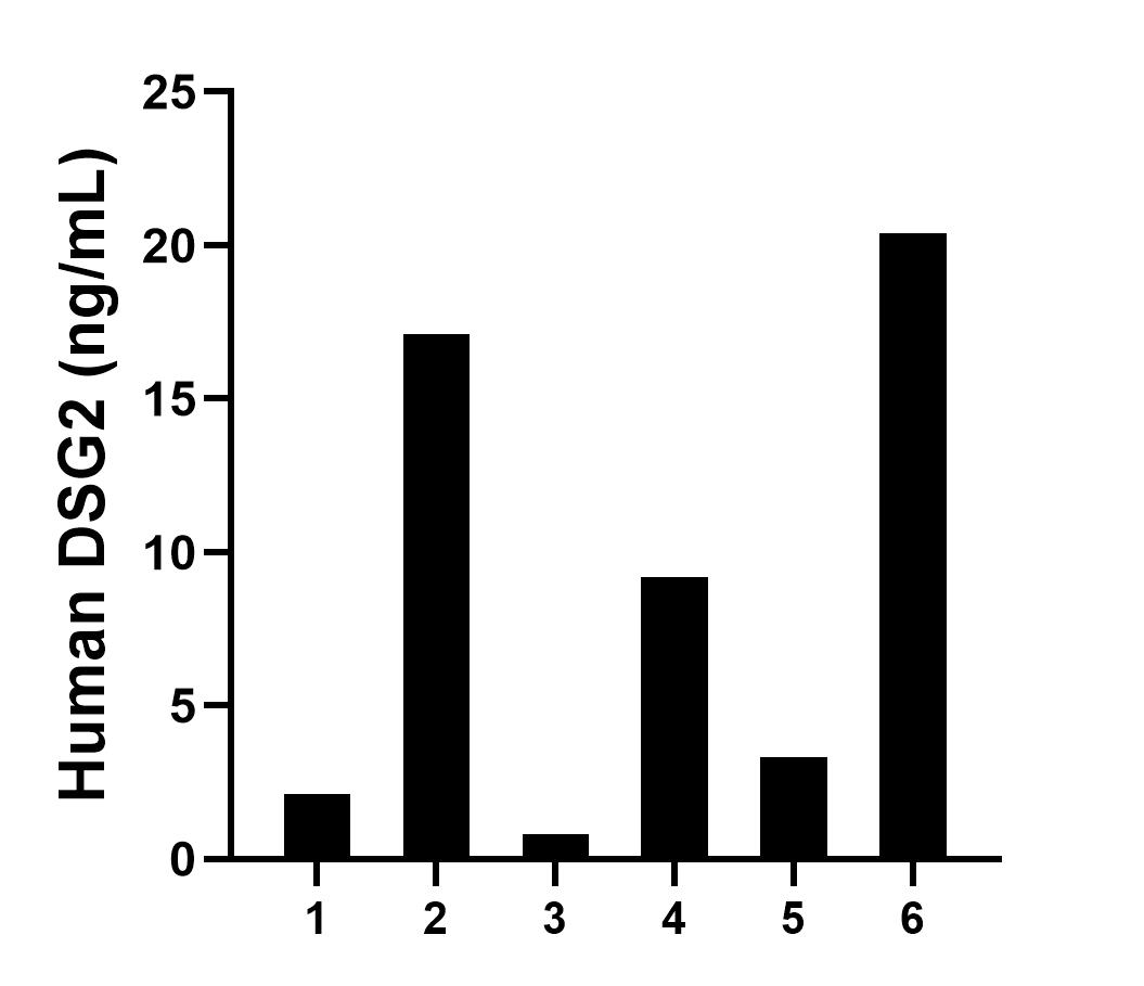 Plasma of six individual healthy human donors was measured. The DSG2 concentration of detected samples was determined to be 8.8 ng/mL with a range of 0.8-20.4 ng/mL.	