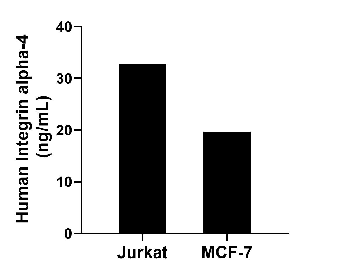 Sandwich ELISA sample test of MP03046-2