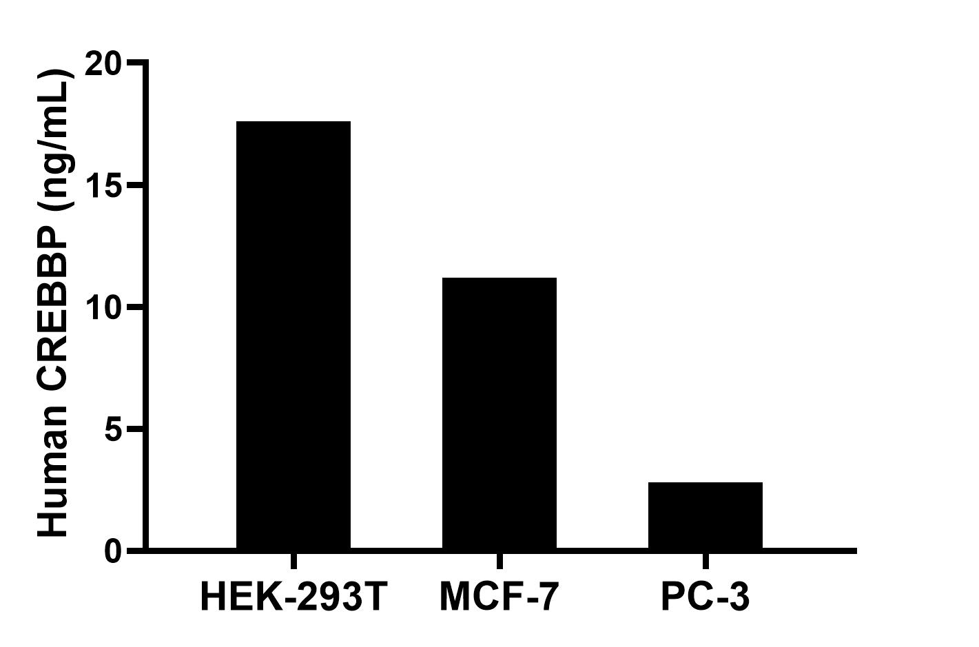 The mean CREBBP concentration was determined to be 17.6 ng/mL in HEK-293T cell extract based on a 1.2 mg/mL extract load, 11.2 ng/mL in MCF-7 cell extract based on a 1.2 mg/mL extract load and 2.8 ng/mL in PC-3 cell extract based on a 1.3 mg/mL extract load. The mean CREBBP concentration was determined to be 17.6 ng/mL in HEK-293T cell extract based on a 1.2 mg/mL extract load, 11.2 ng/mL in MCF-7 cell extract based on a 1.2 mg/mL extract load and 2.8 ng/mL in PC-3 cell extract based on a 1.3 mg/mL extract load.