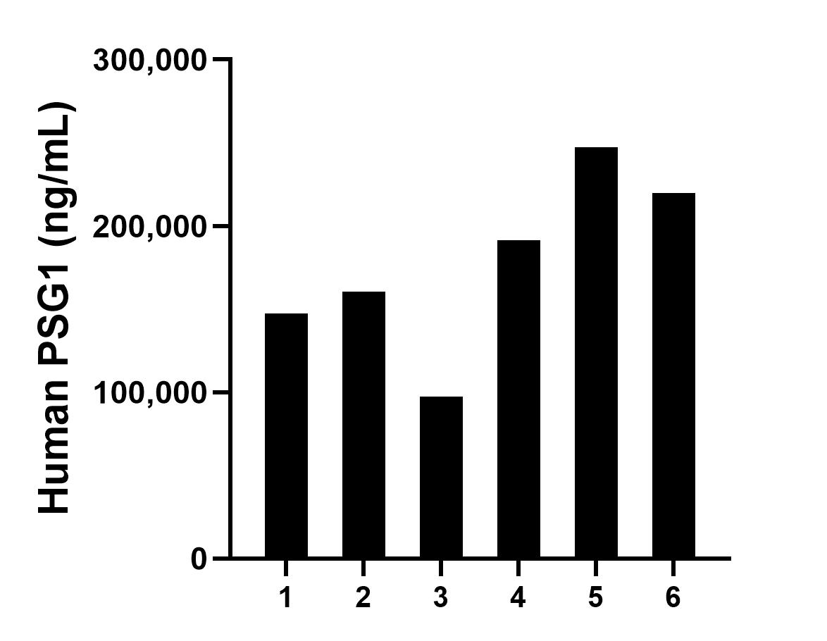 Plasma of six maternity donors was measured. The human PSG1 concentration of detected samples was determined to be 177,237.82 ng/mL with a range of 97,423.16- 247,176.92.ng/mL.