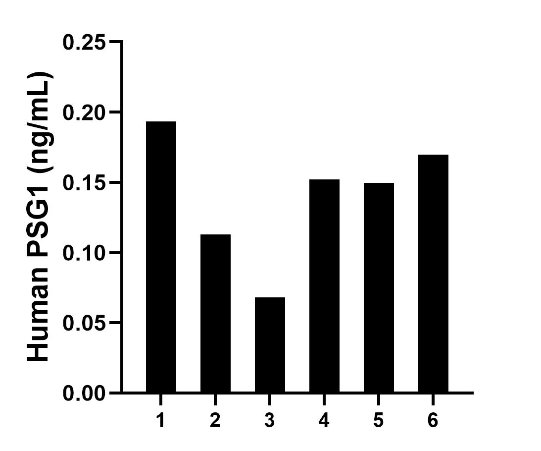 Plasma of six individual healthy human donors was measured. The human PSG1 concentration of detected samples was determined to be 0.14 ng/mL with a range of 0.11 - 0.19 ng/mL.
