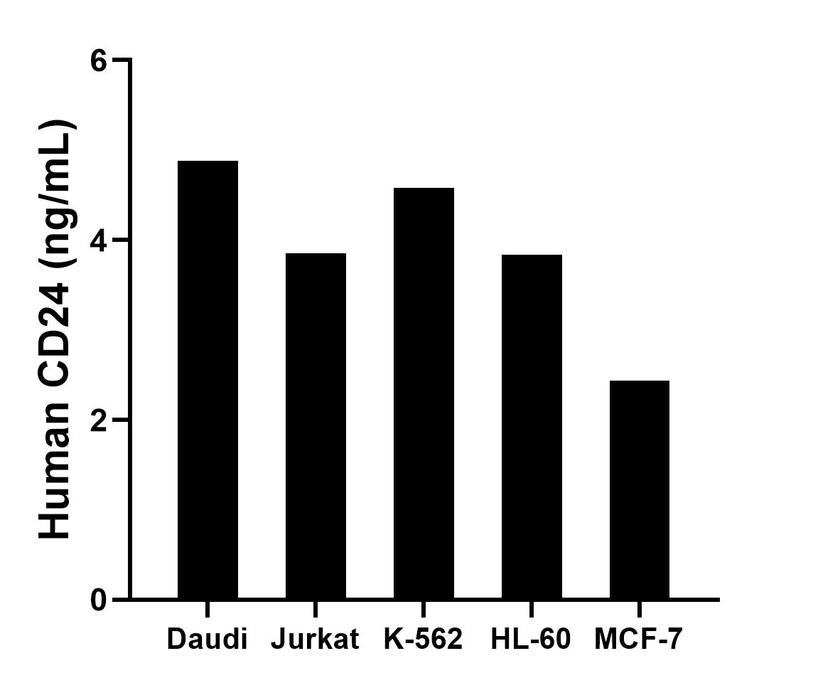 The mean CD24 concentration was determined to be 4.88 ng/mL in Daudi cell extract based on a 1.10 mg/mL extract load, 3.85 ng/mL in Jurkat cell extract based on a 1.20 mg/mL extract load, 4.58 ng/mL in K-562 cell extract based on a 1.20 mg/mL extract load, 3.84 ng/mL in HL-60 cell extract based on a 1.20 mg/mL extract load and 2.44 ng/mL in MCF-7 cell extract based on a 1.20 mg/mL extract load. Sandwich ELISA sample test of MP03190-1