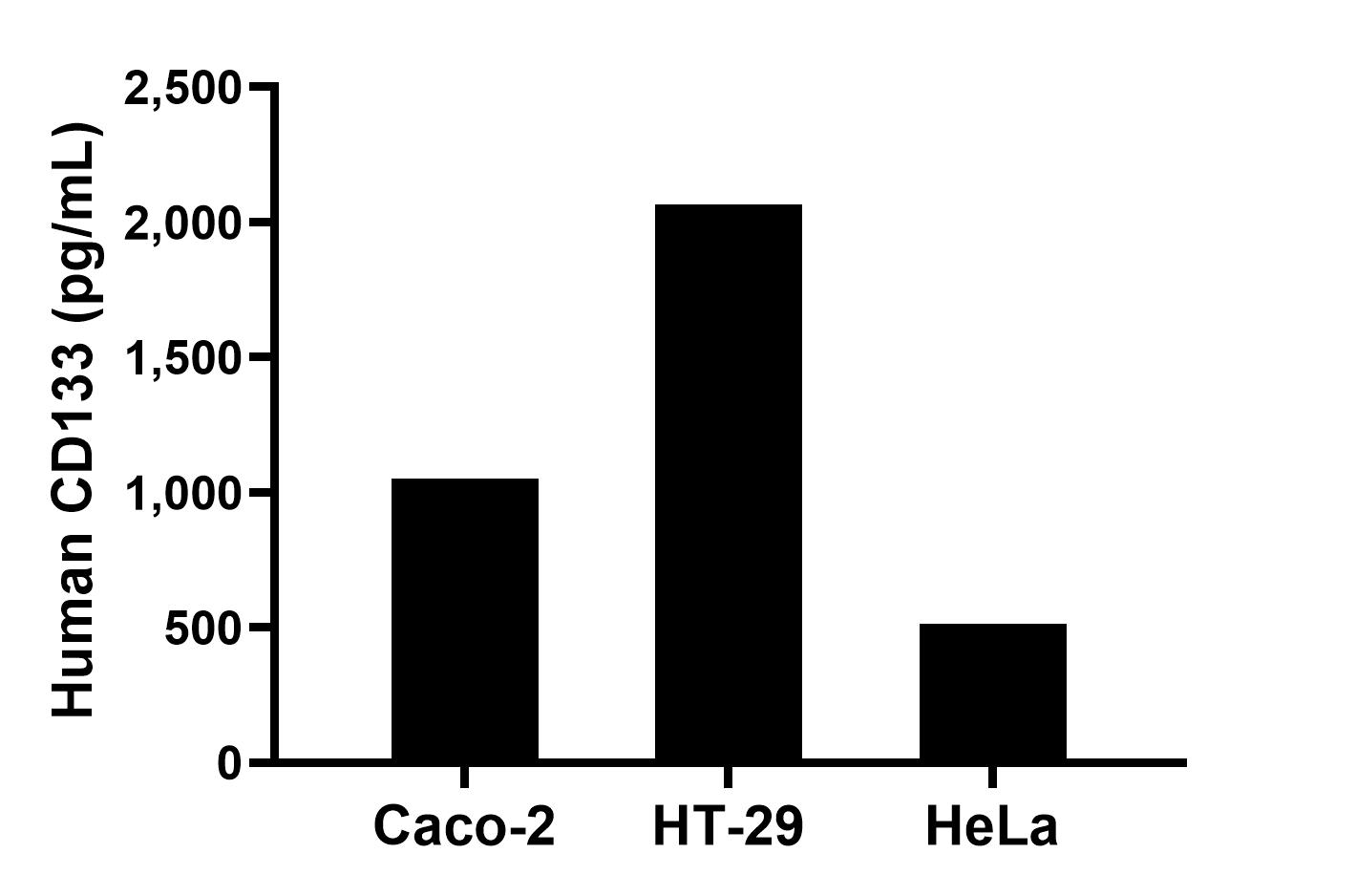 The mean CD133 concentration was determined to be 1,052.2 pg/mL in Caco-2 cell extract based on a 1.3 mg/mL extract load, 2,066.1 pg/mL in HT-29 cell extract based on a 1.1 mg/mL extract load and 514.9 pg/mL in HeLa cell extract based on a 1.2 mg/mL extract load.