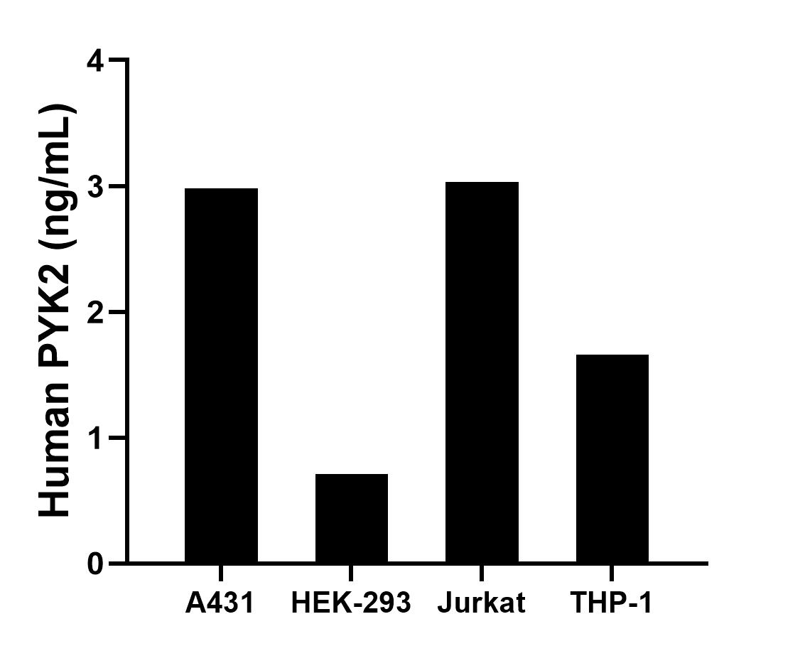 The mean PYK2 concentration was determined to be 2.98 ng/mL in A431 cell extract based on a 1.5 mg/mL extract load, 0.71 ng/mL in HEK-293 cell extract based on a 1.5 mg/mL extract load, 3.03 ng/mL in Jurkat cell extract based on a 1.2 mg/mL extract load and 1.66 ng/mL in THP-1 cell extract based on a 1.2 mg/mL extract load.	