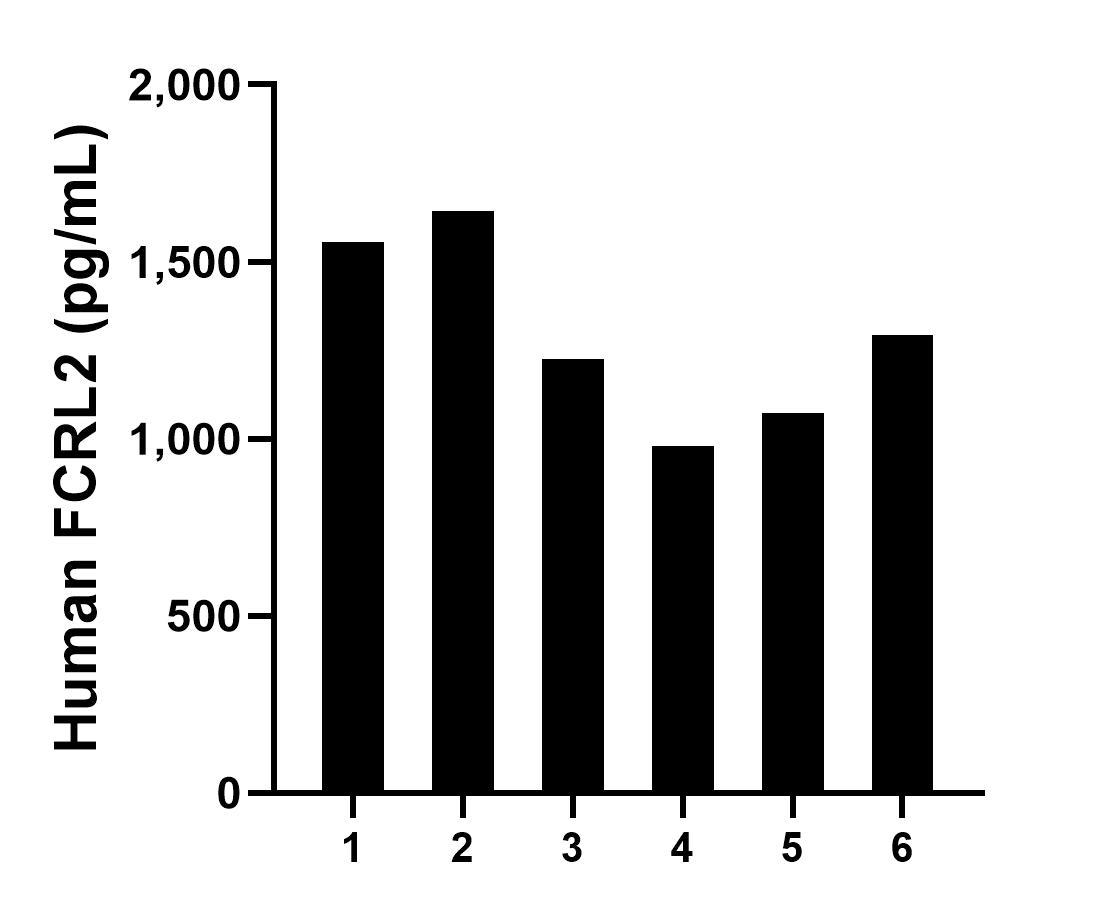 Plasma of six individual healthy human donors was measured. The human FCRL2 concentration of detected samples was determined to be 1,294.6 pg/mL with a range of 980.1-1,641.9 pg/mL.